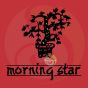 Bois de santal encens traditionnel Morning star