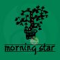 Cèdre Morning star encens traditionnel japonais 50 stick