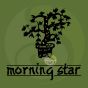 Incense green tea morning star 50 sticks with ceramic holder 