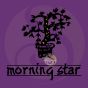 Musc encens boisée et animale 50 sticks Morning star