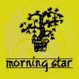 Encens sans fumée patchouli Morning star 50 sticks