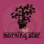 Encens supérieur rose Morning star 50 sticks traditionnels