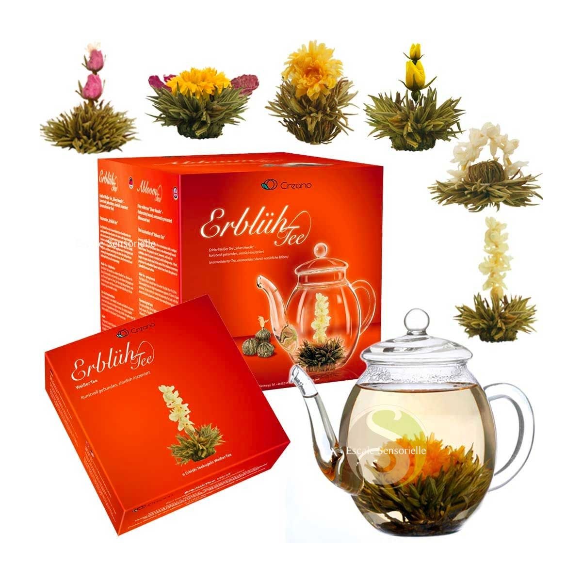 Set cadeau Creano mélange de fleurs de thé avec théière de 500 ml