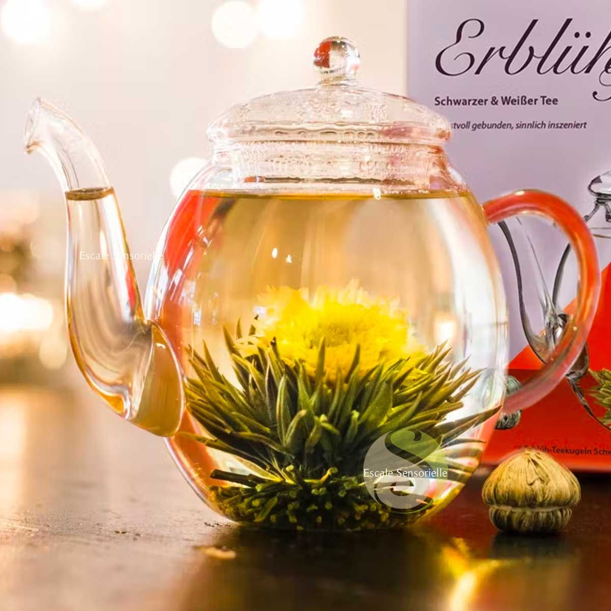 Comment préparer fleur de thé blanc coffret creano théière et fleurs de thé  - Escale Sensorielle