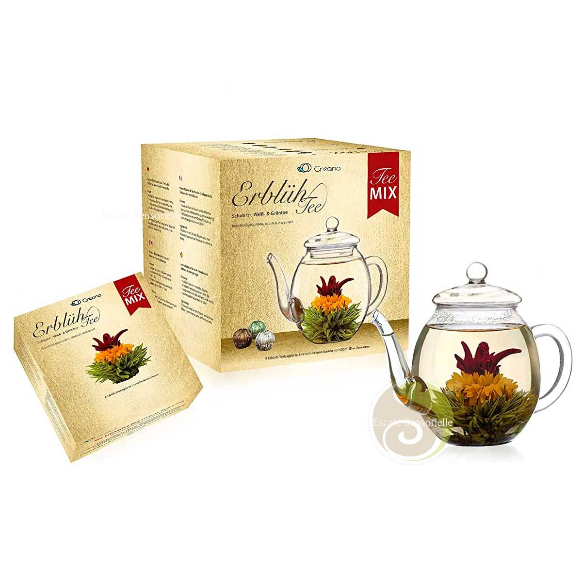 Fleurs de thé magique et théière transparente