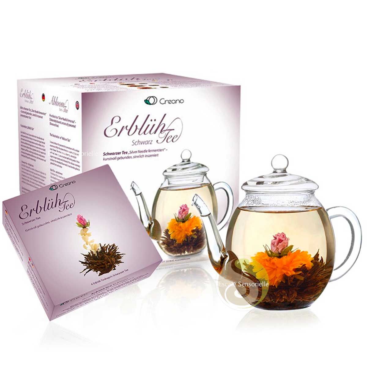 Set cadeau Creano mélange de fleurs de thé avec théière de 500 ml dans une  élégante boîte en bois contenant 6 sortes différentes de thé en fleur (thé  blanc)  Creano
