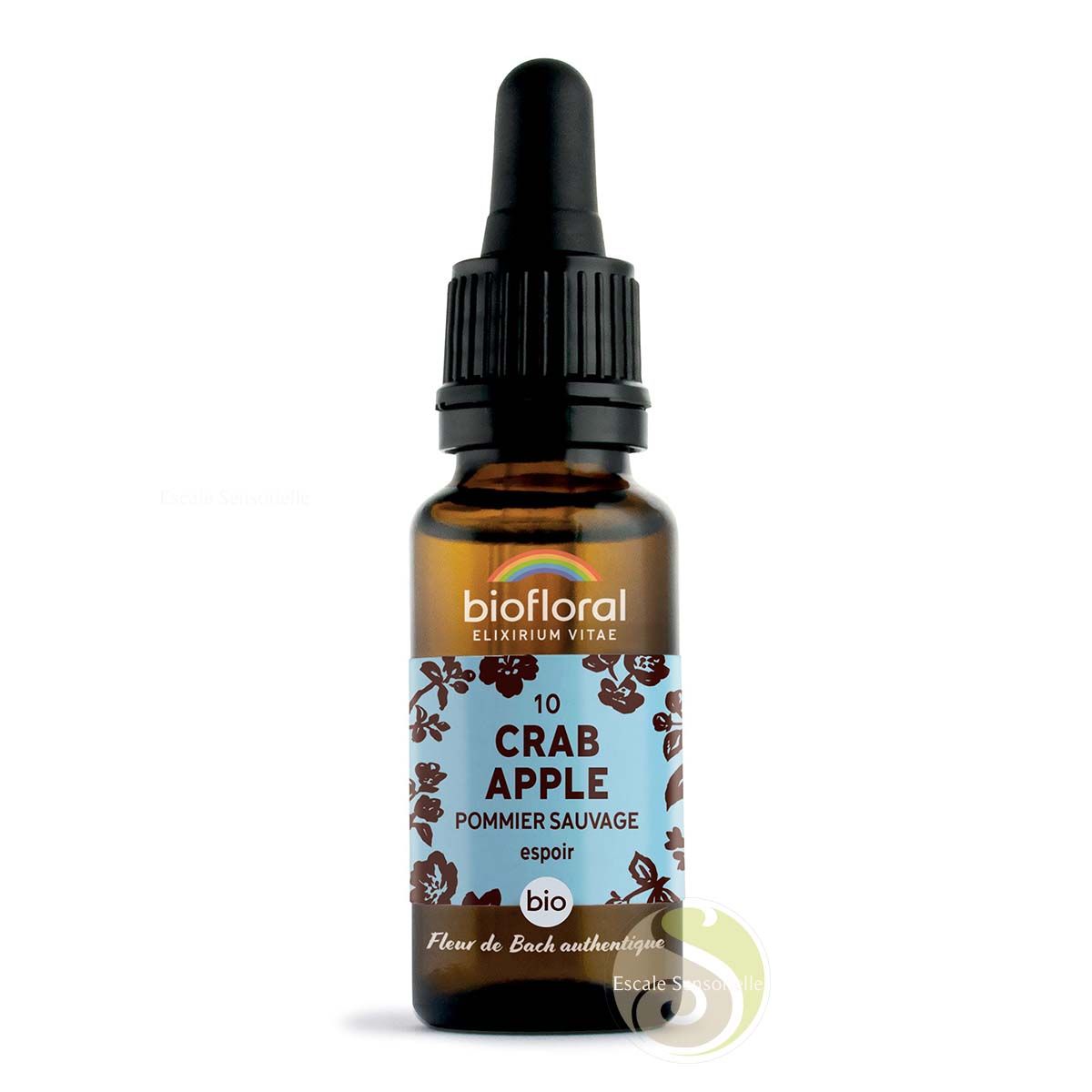 Pommier sauvage crab apple fleur de Bach N°10 Pureté intérieure, évolution spirituelle