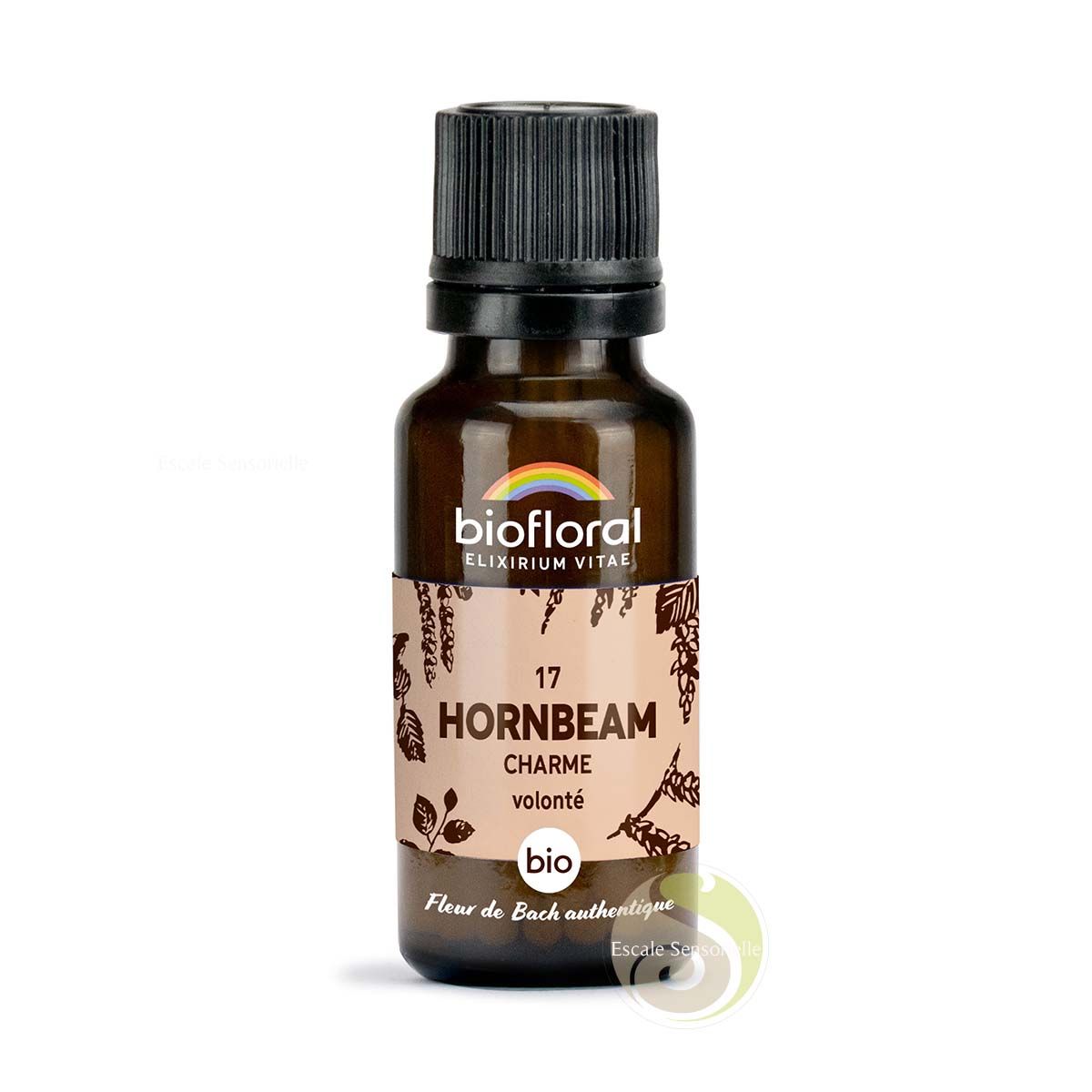 hornbeam charme fleur de Bach N°17 sans alcool force et vitalité d'esprit Biofloral