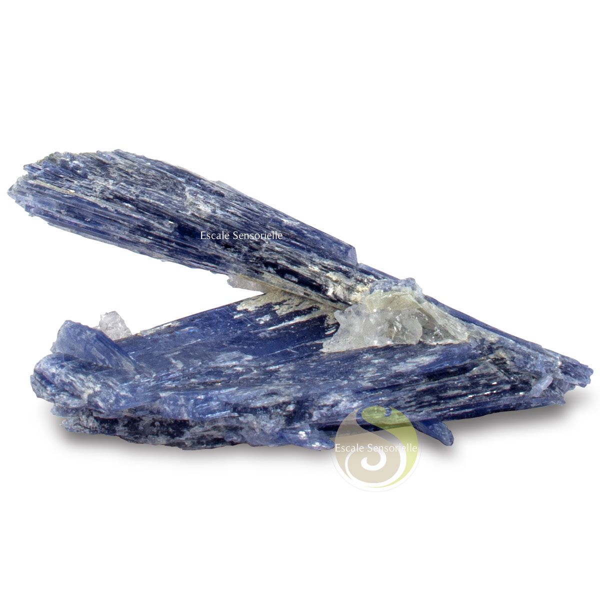 Cyanite ou kyanite pierre brute pour collection lithothérapie