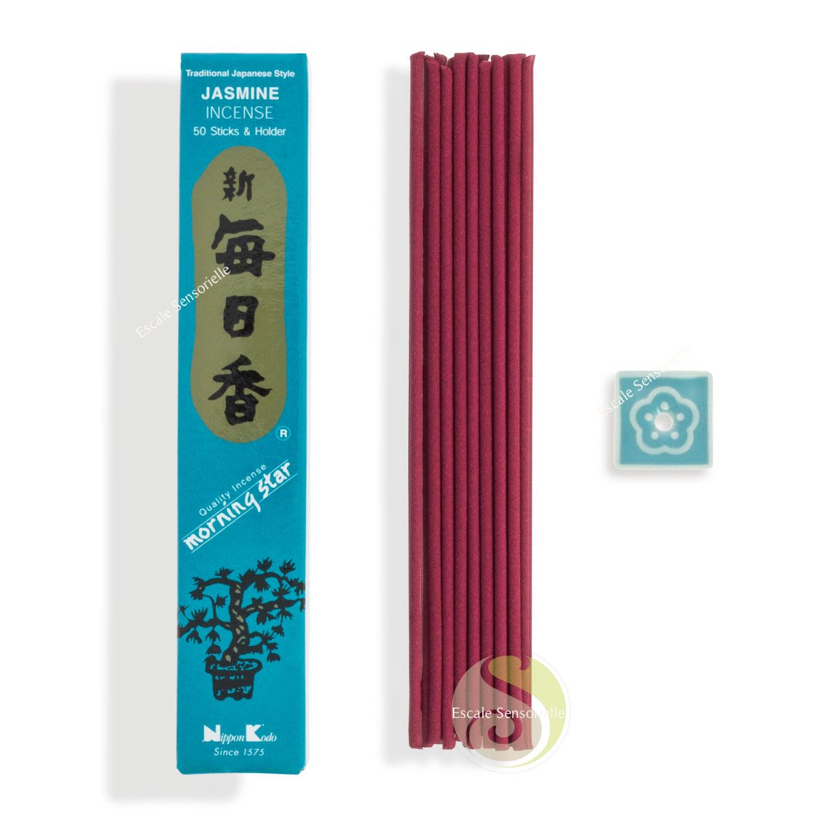 Encens Jasmin Morning star traditionnel 50 sticks support céramique