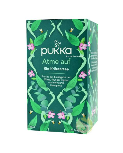 Anis étoilé cannelle pukka bio thé vert ayurvédique