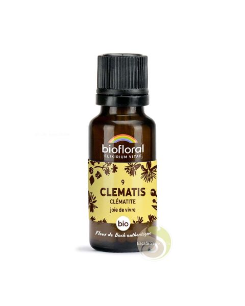 Clématite clematis fleur de Bach N°9 sans alcool bio joie de vivre Biofloral