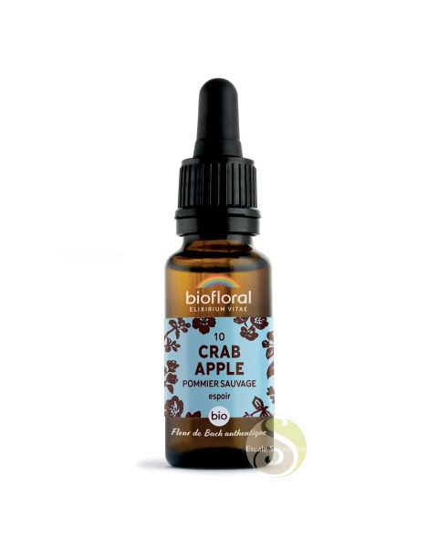 Pommier sauvage crab apple fleur de Bach N°10 Pureté intérieure, évolution spirituelle