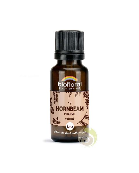 hornbeam charme fleur de Bach N°17 sans alcool force et vitalité d'esprit Biofloral