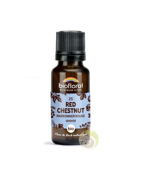 Marronnier rouge red chesnut fleur de Bach N°25 sans alcool sérénité Biofloral