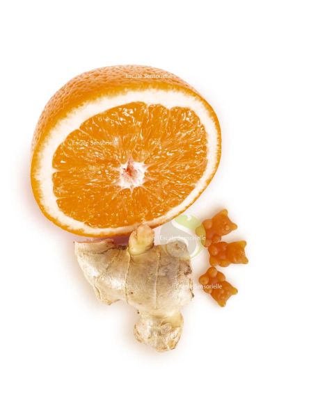 L'infusion câline orange gingembre vegan