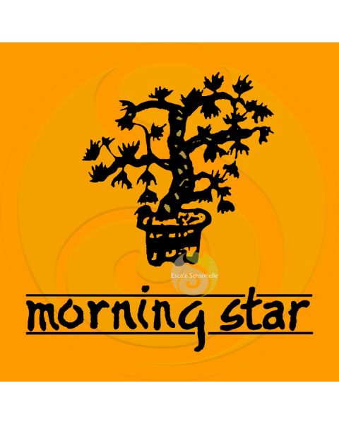 Encens ambre Morning star 