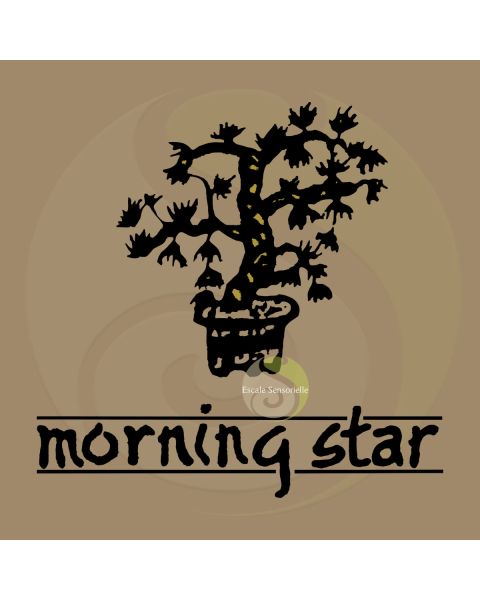 Encens frankincense Morning star