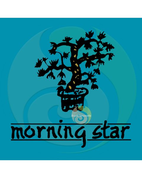 Encens jasmin Morning star 