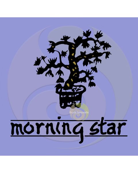 Encens lavande Morning star 