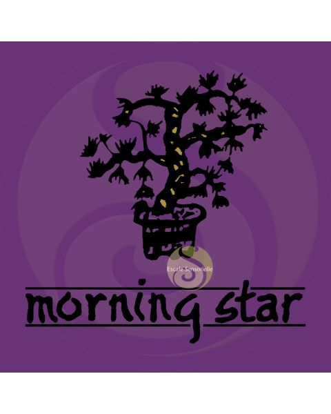 Encens musc Morning star 