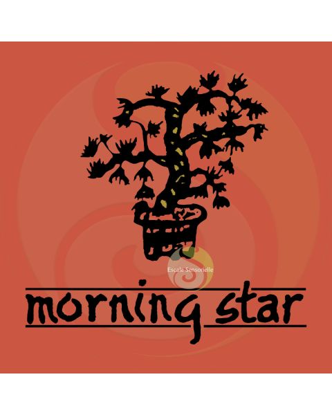 Encens myrrhe Morning star 