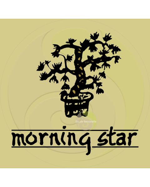 Encens palo santo Morning star 