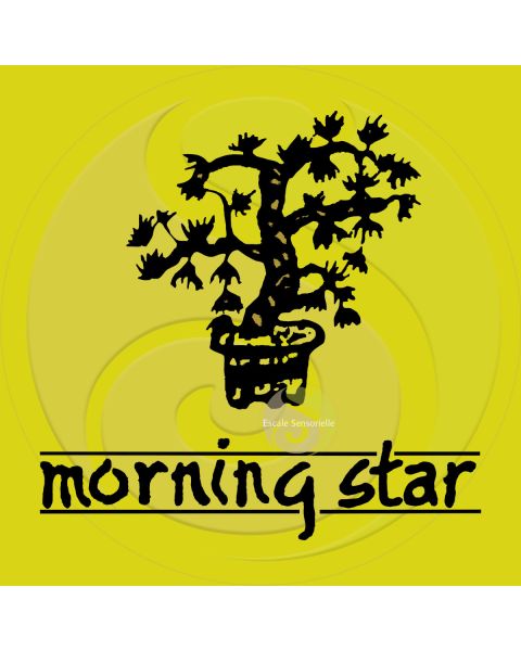 Encens patchouli Morning star 