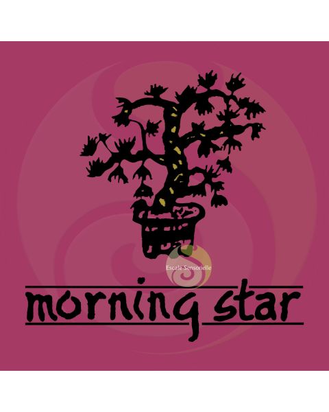 Encens rose Morning star 