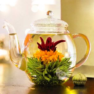 Théière en verre + Coffret 12 thés Blooming