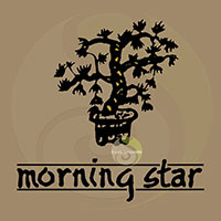 Frankincense encens boisé japonais Morning star