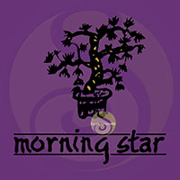 Musc encens boisé japonais Morning star