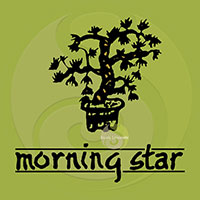 Pin encens boisé japonais Morning star