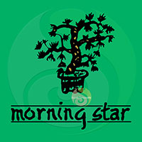 Sauge encens boisé japonais Morning star